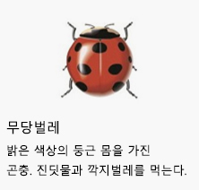 무당벌레 : 밝은 색상의 둥근 몸을 가진 곤충. 진딧물과 깍지벌레를 먹는다.